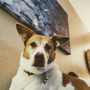 Meet your Posher, Tim